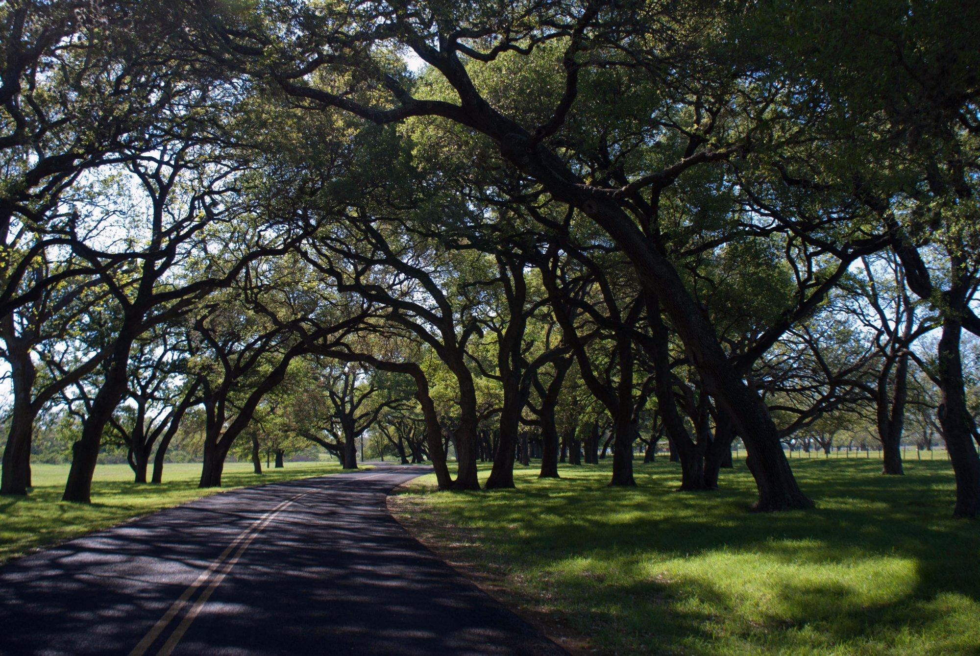 Lyndon B Johnson State Park & Historic Site