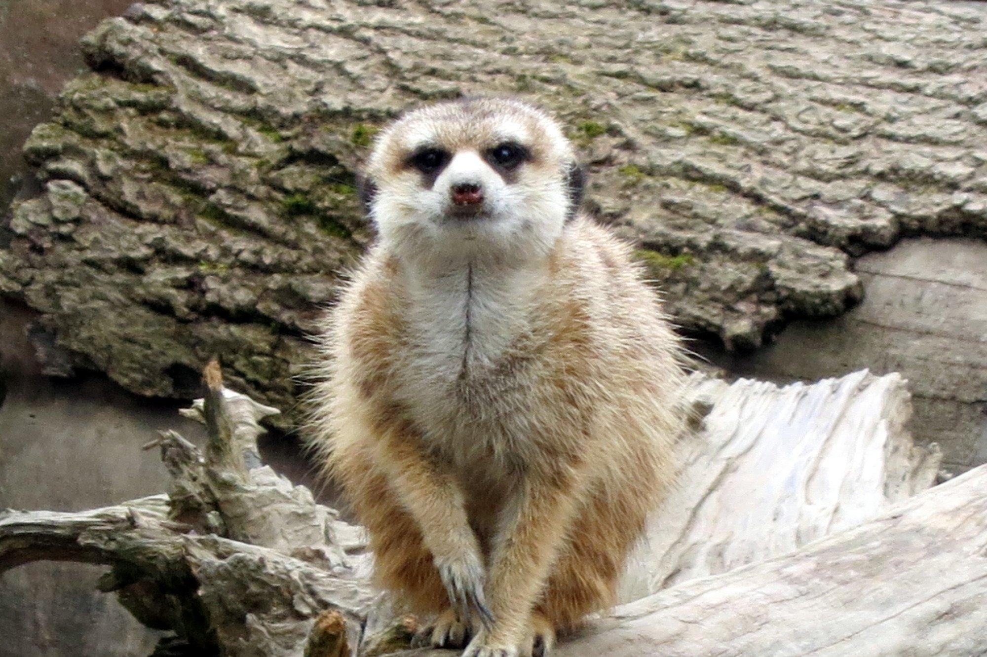 Zoologischer Garten Hof