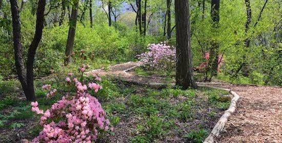 Hallett Nature Sanctuary