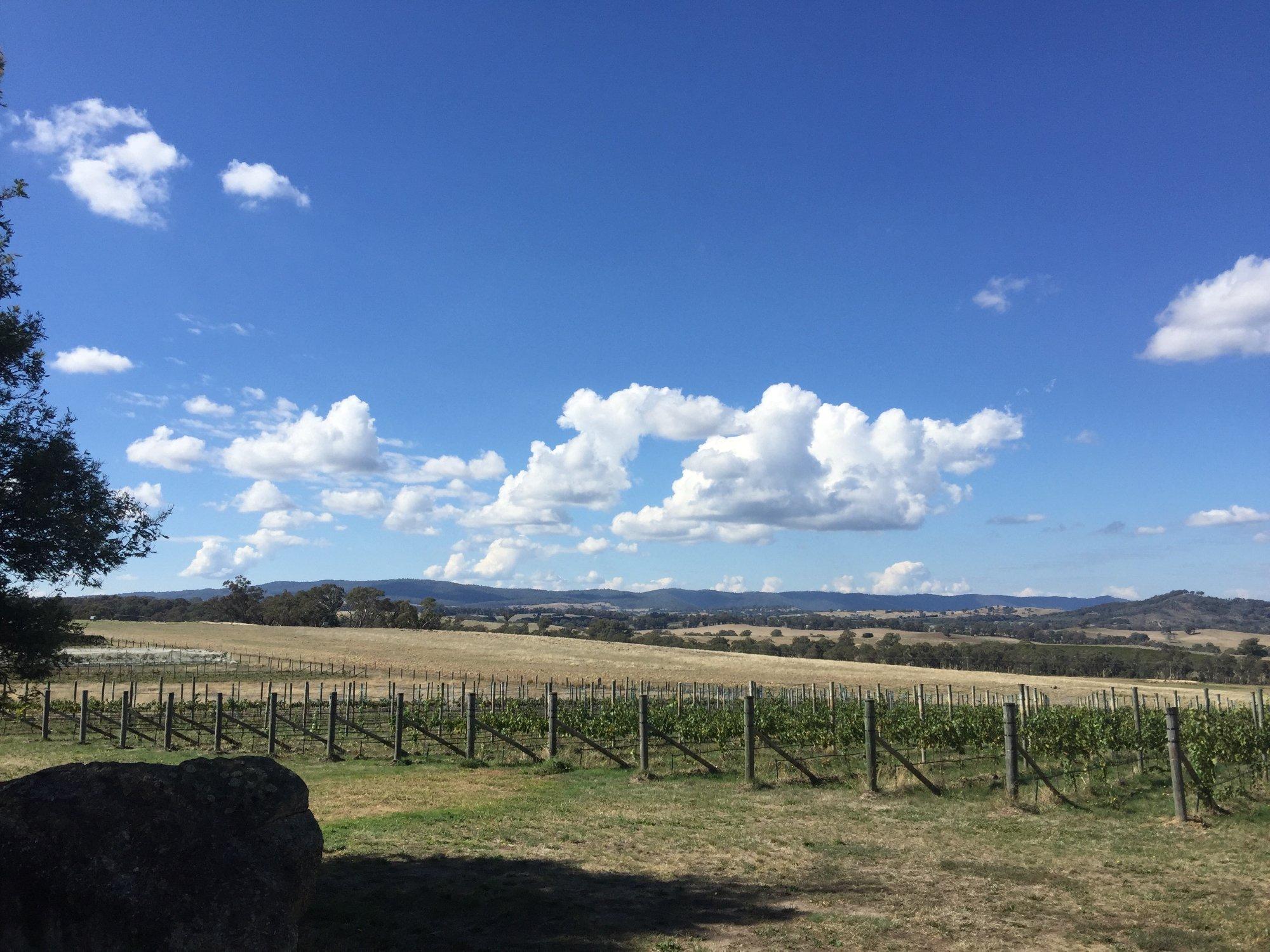 Beechworth Barrel Tours