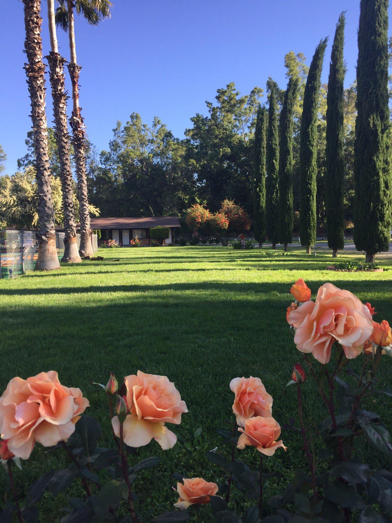 Photo by gussier2015