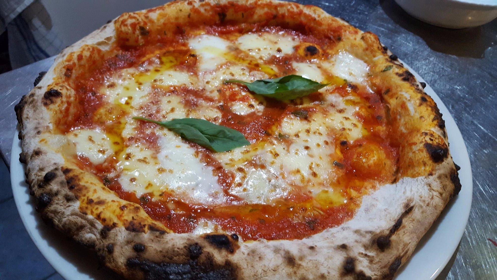 Trattoria Pizzeria Il Gallo