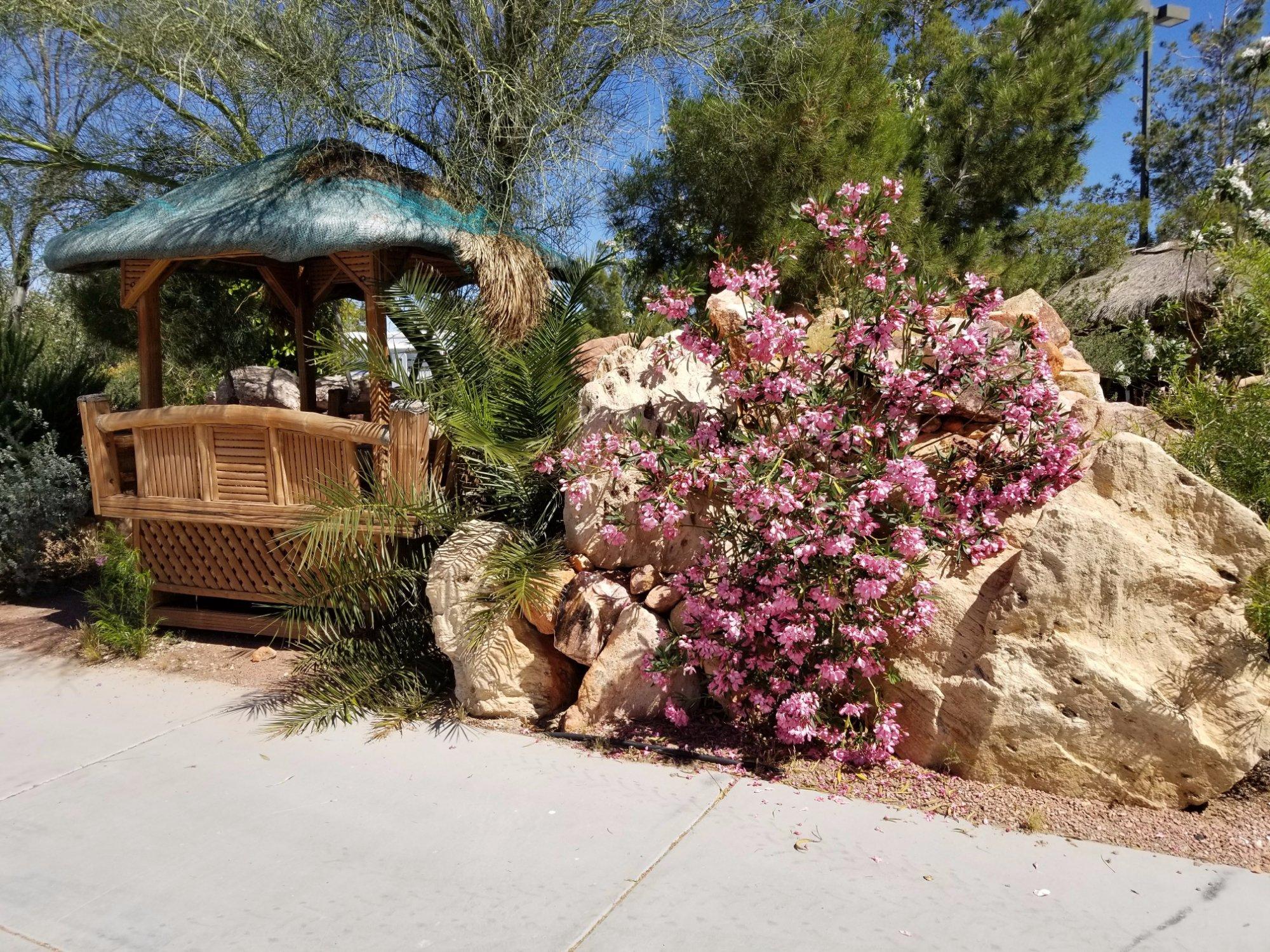 Nevada Treasure RV Resort