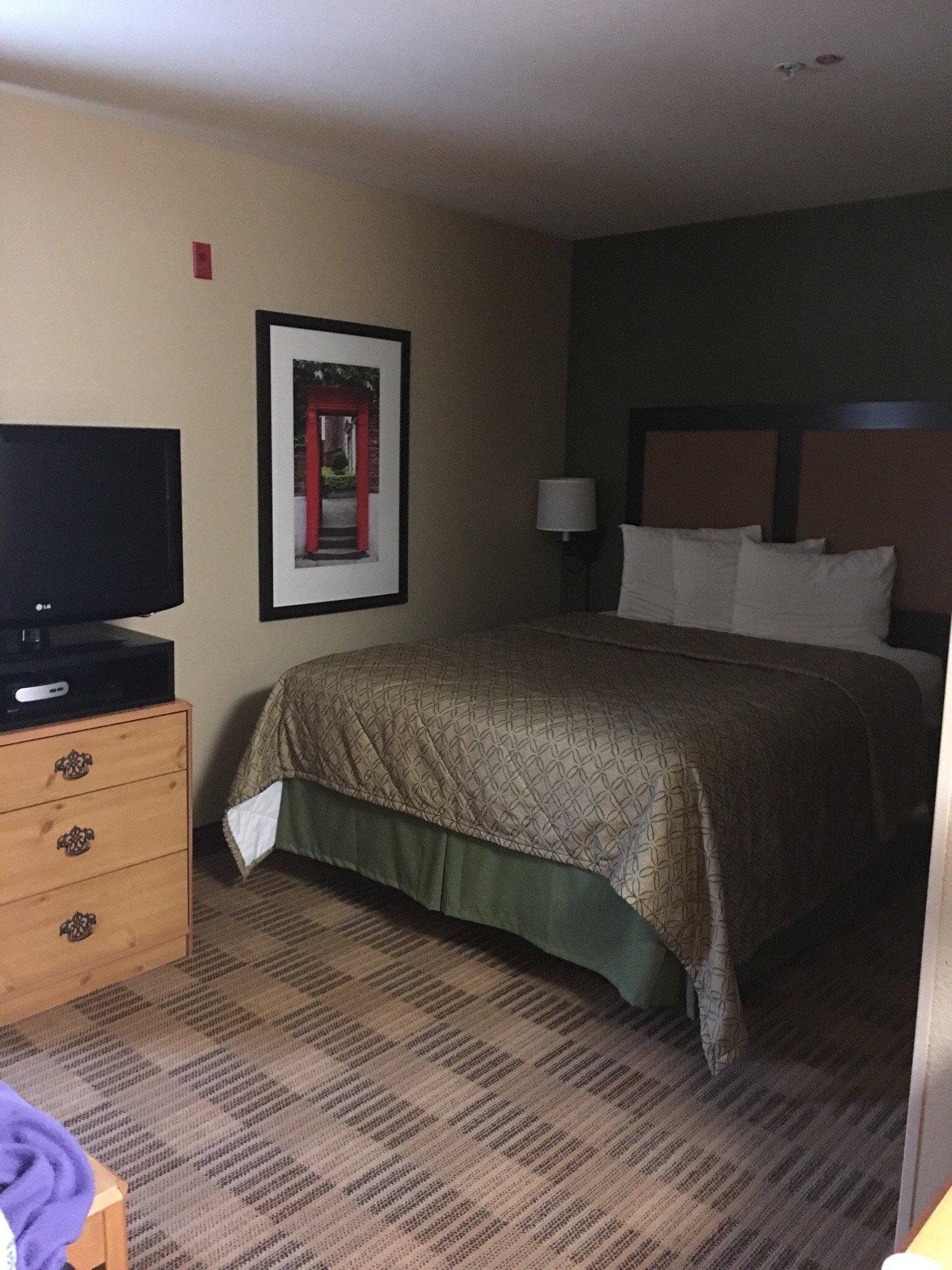 Photo by justbeinghonest20