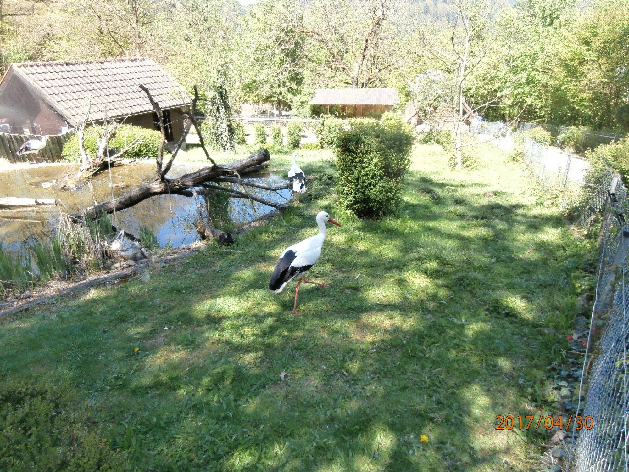 Schwarzwaldzoo Waldkirch