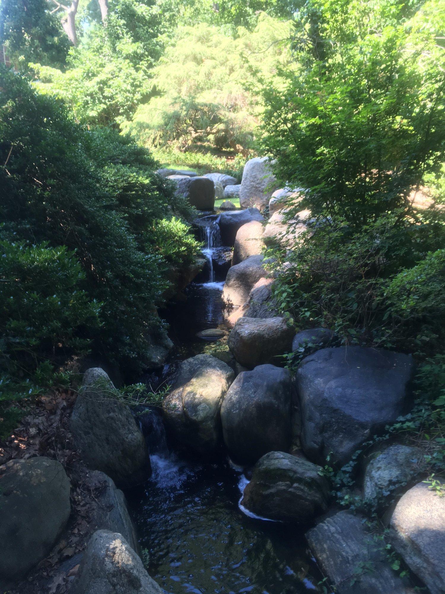 Photo by bluejasmine1024