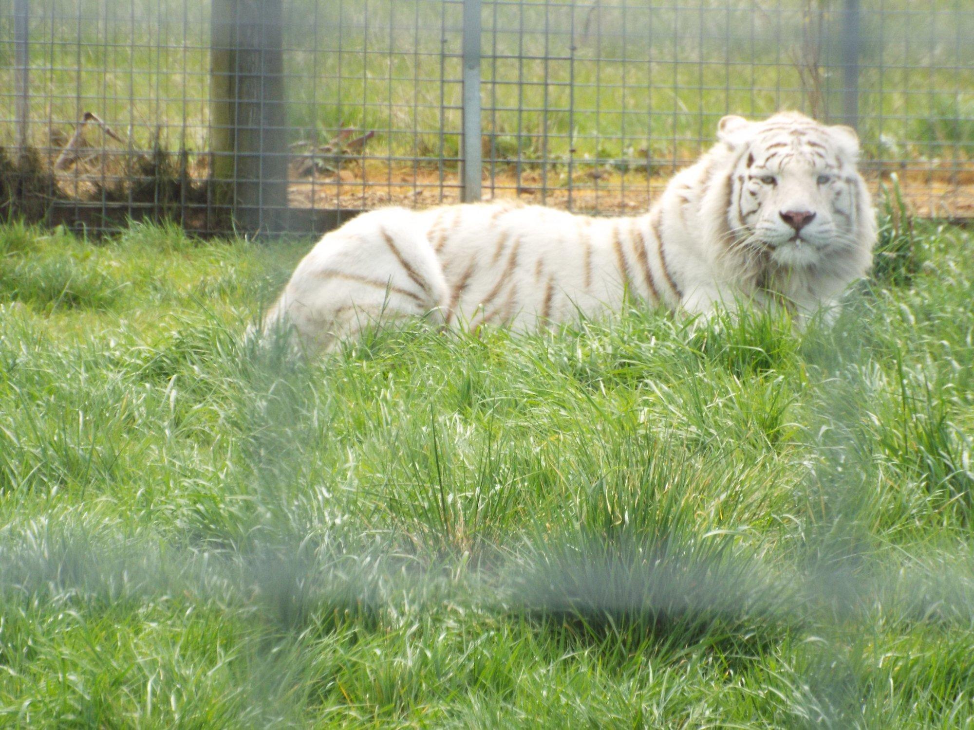 Hamerton Zoo Park