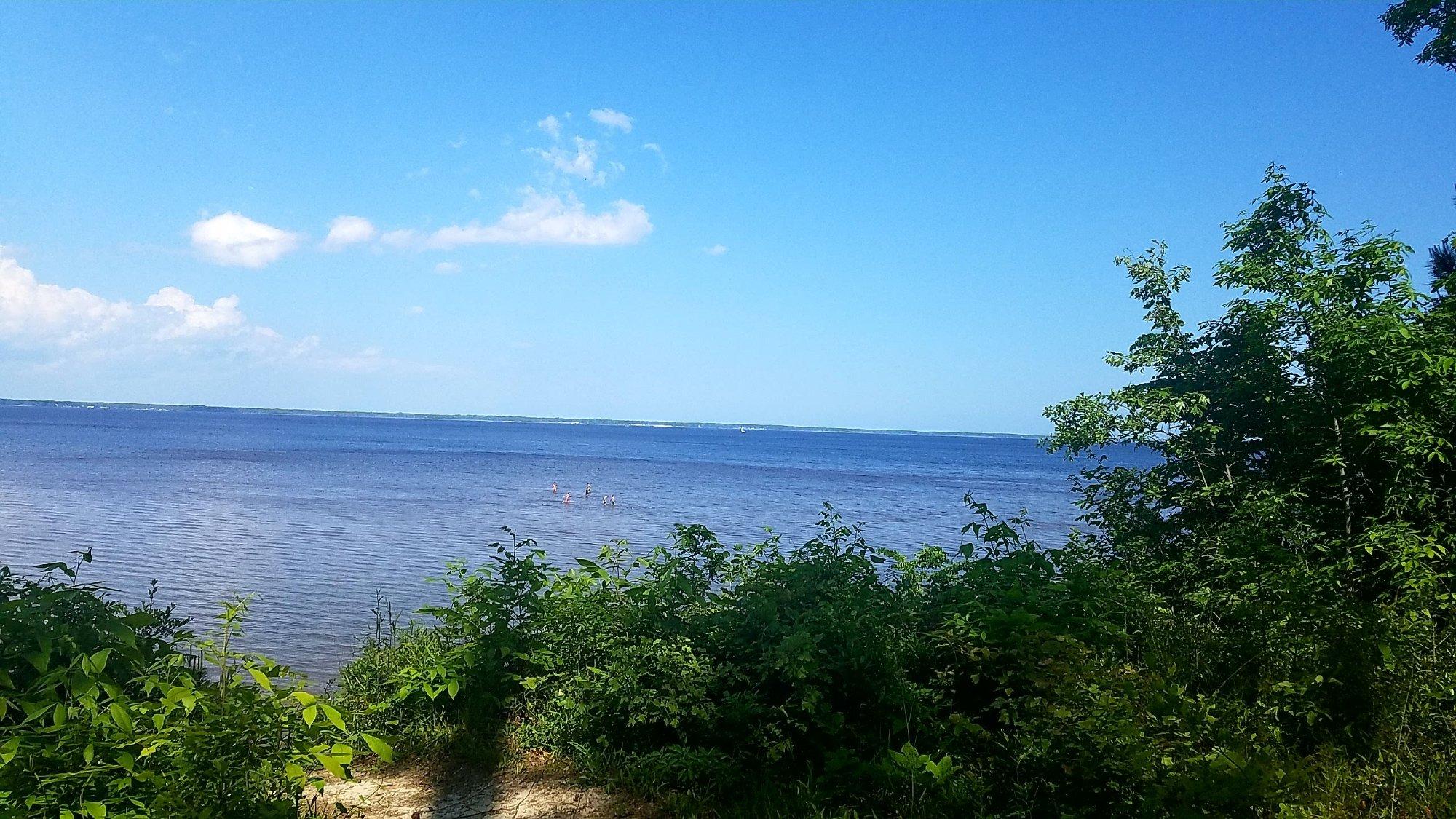 Croatan National Forest