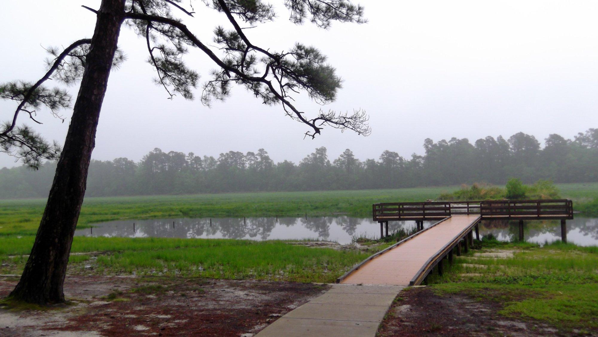 Little Pee Dee State Park