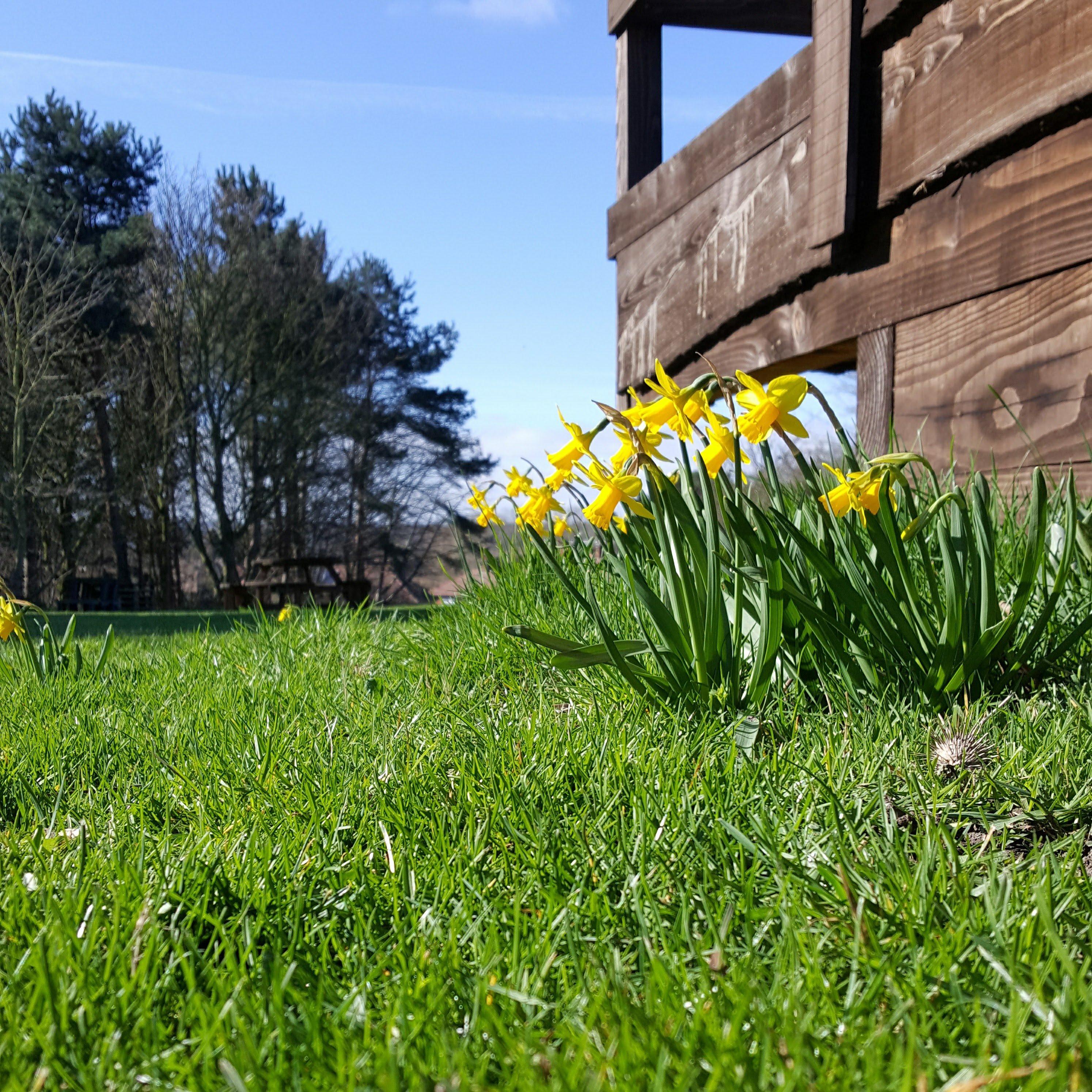 Bulwell Forest Garden
