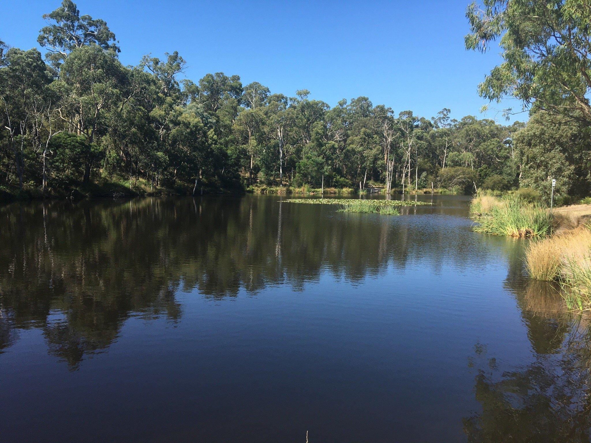 Candlebark Walk Reserve