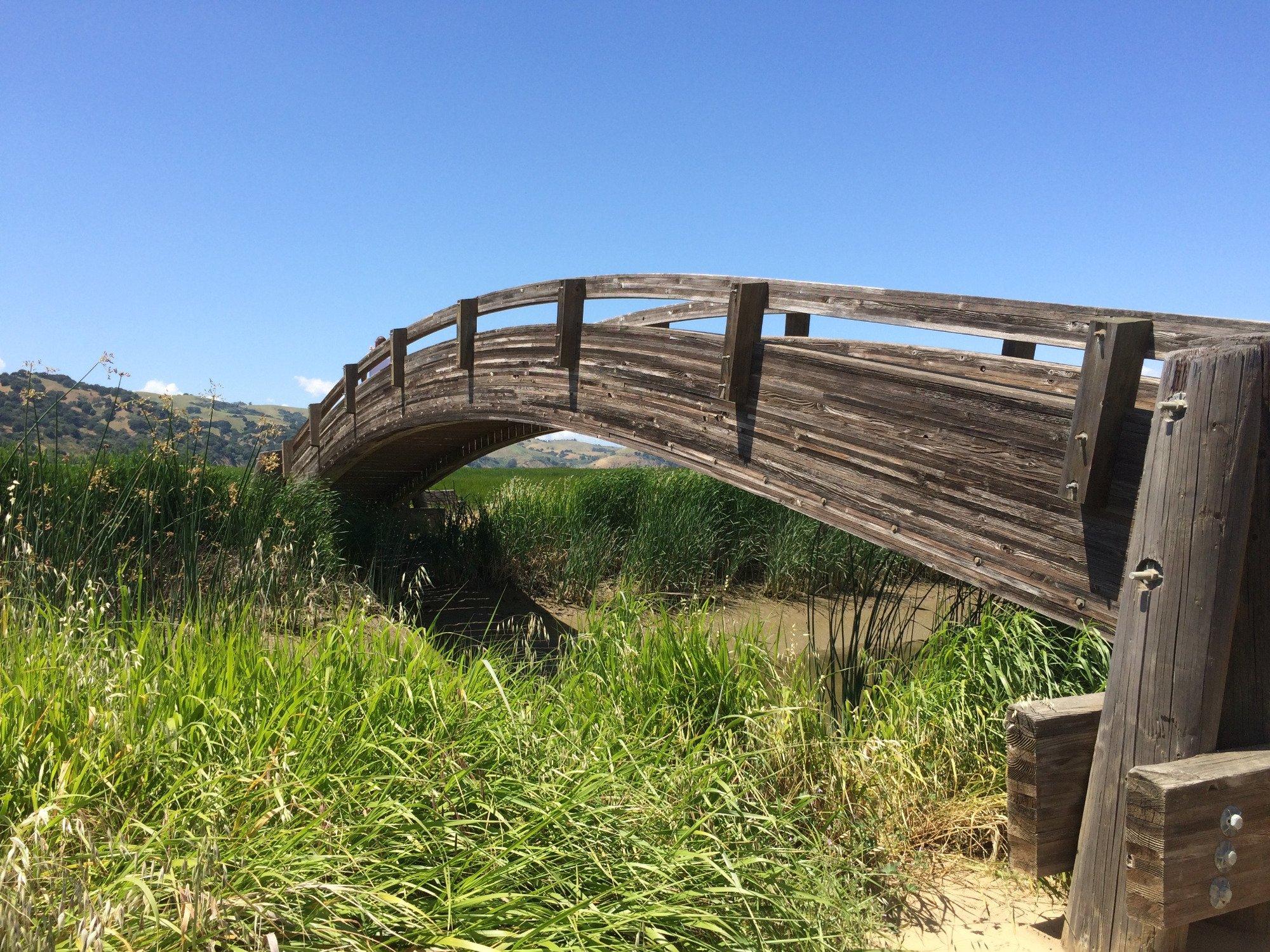 Martinez Regional Shoreline