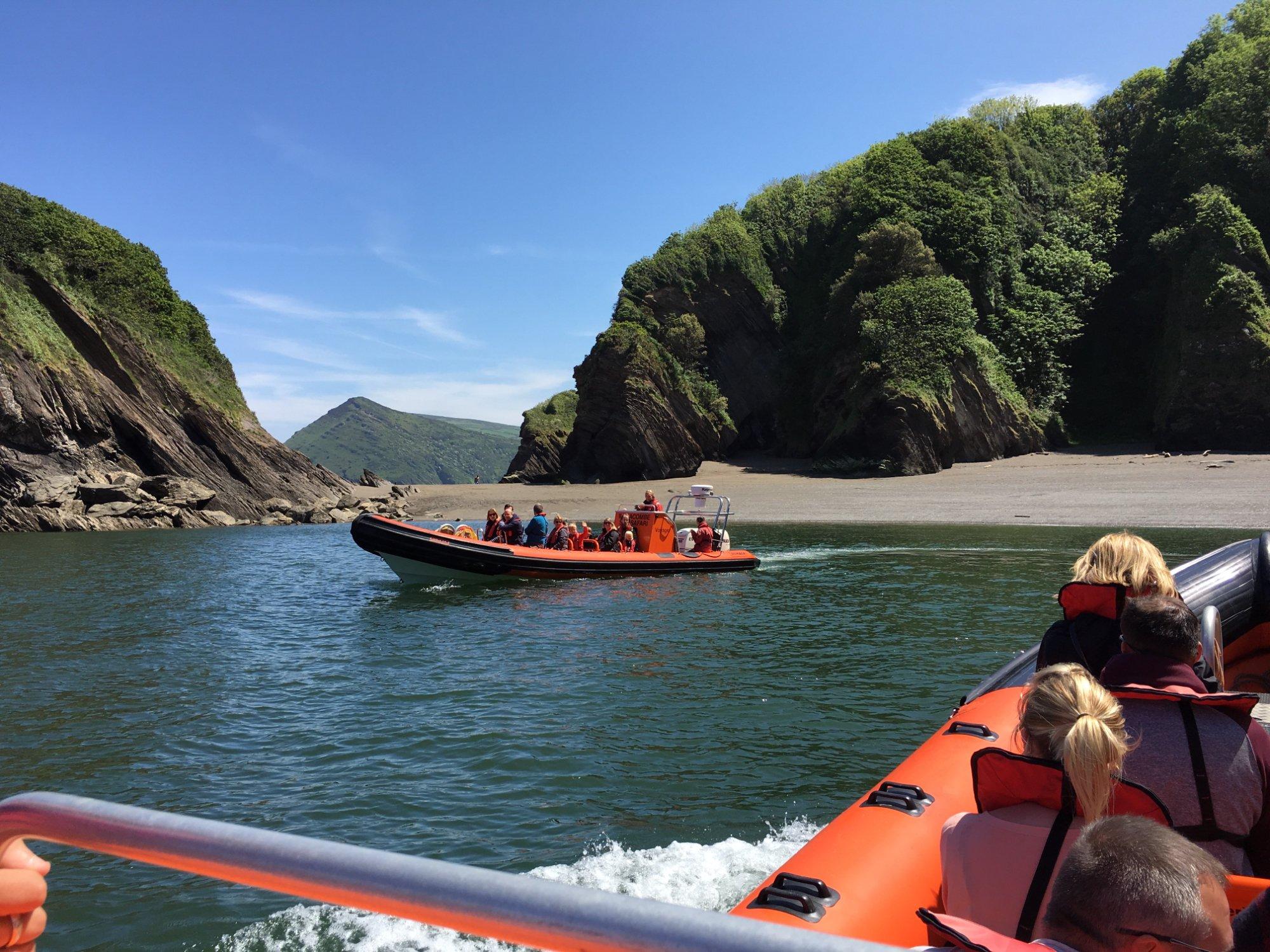 Ilfracombe Sea Safari