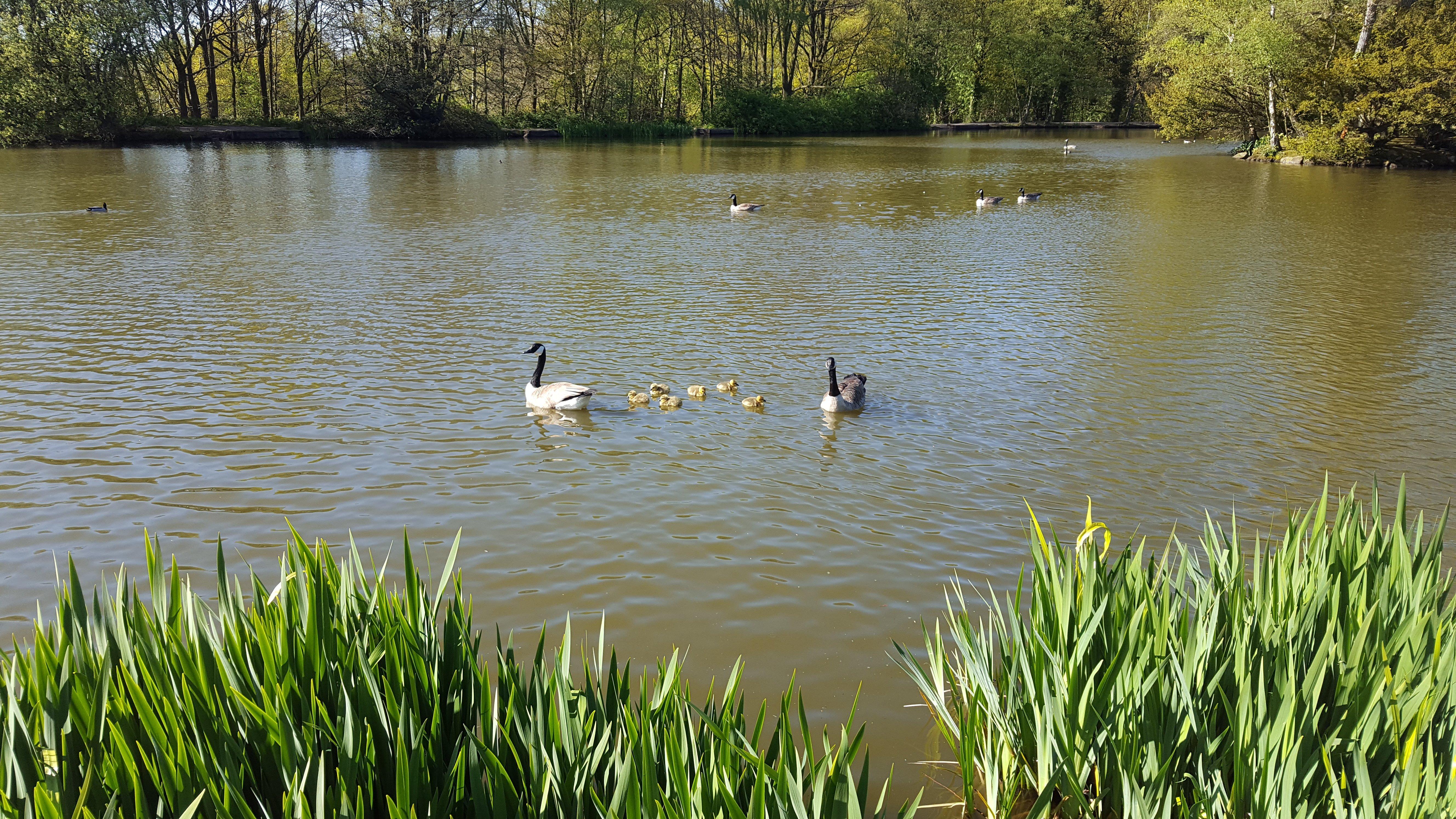 Biddulph Country Park