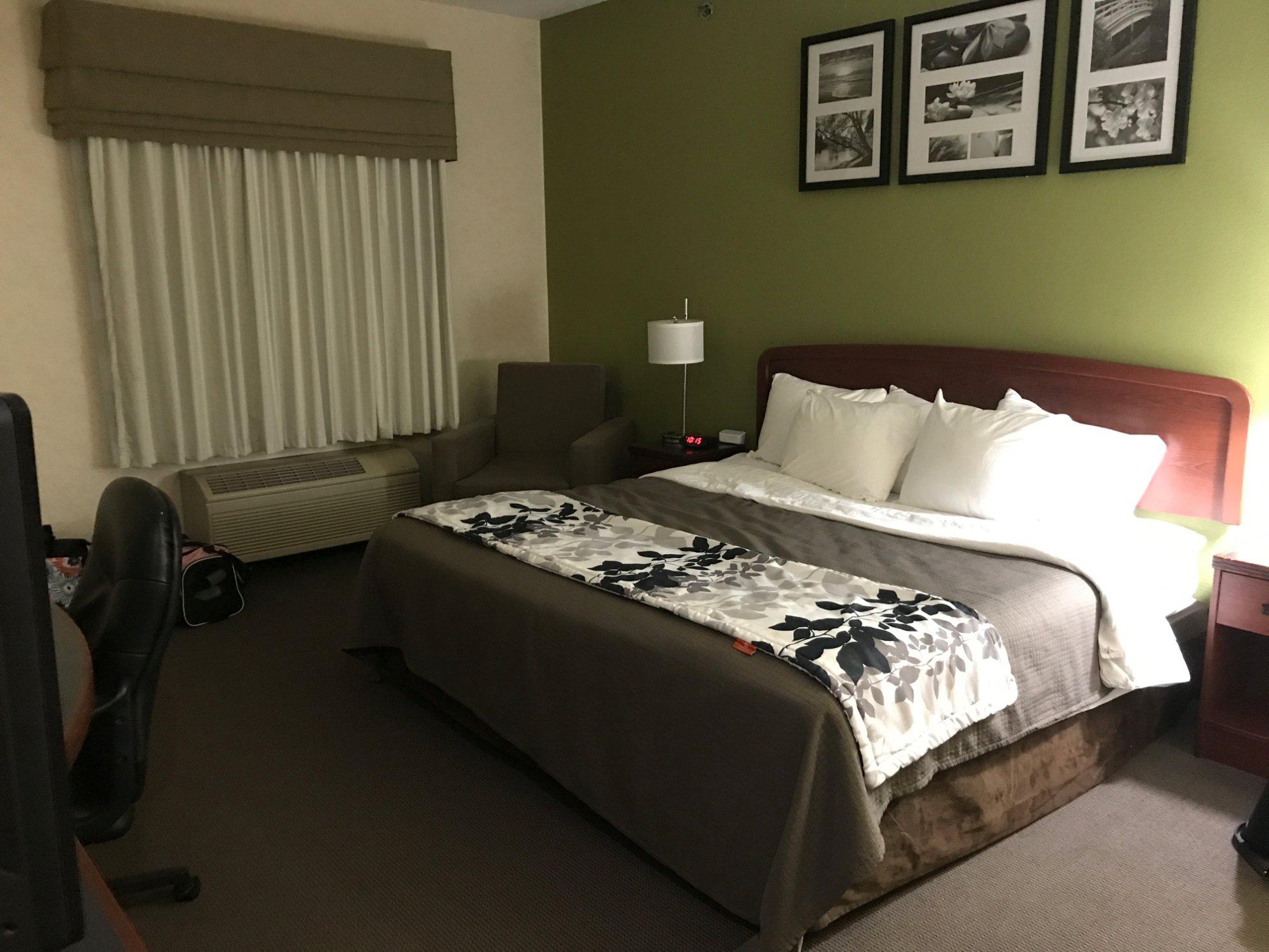 Sleep Inn & Suites Allendale