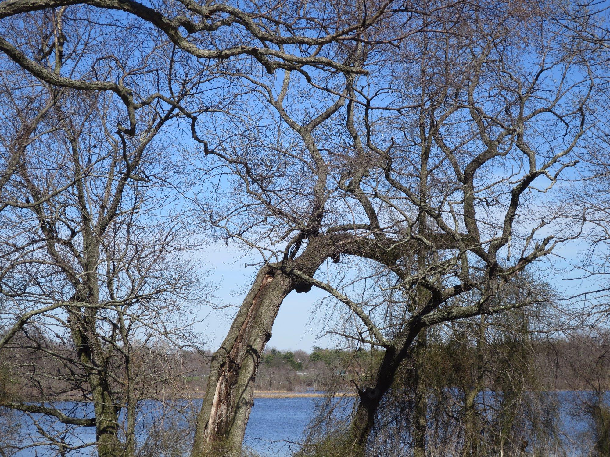 Photo by GreenUnicorn