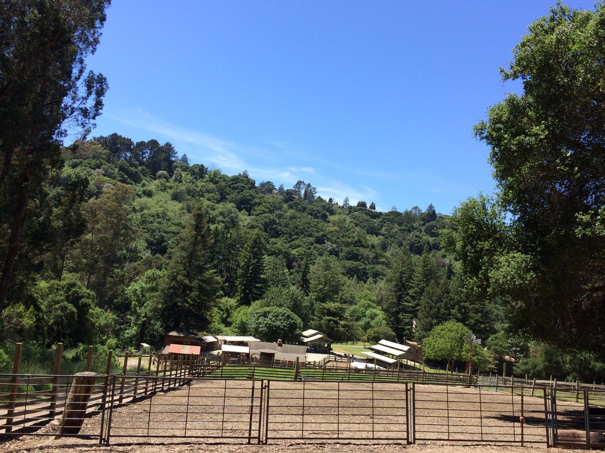 Tilden Park Little Farm