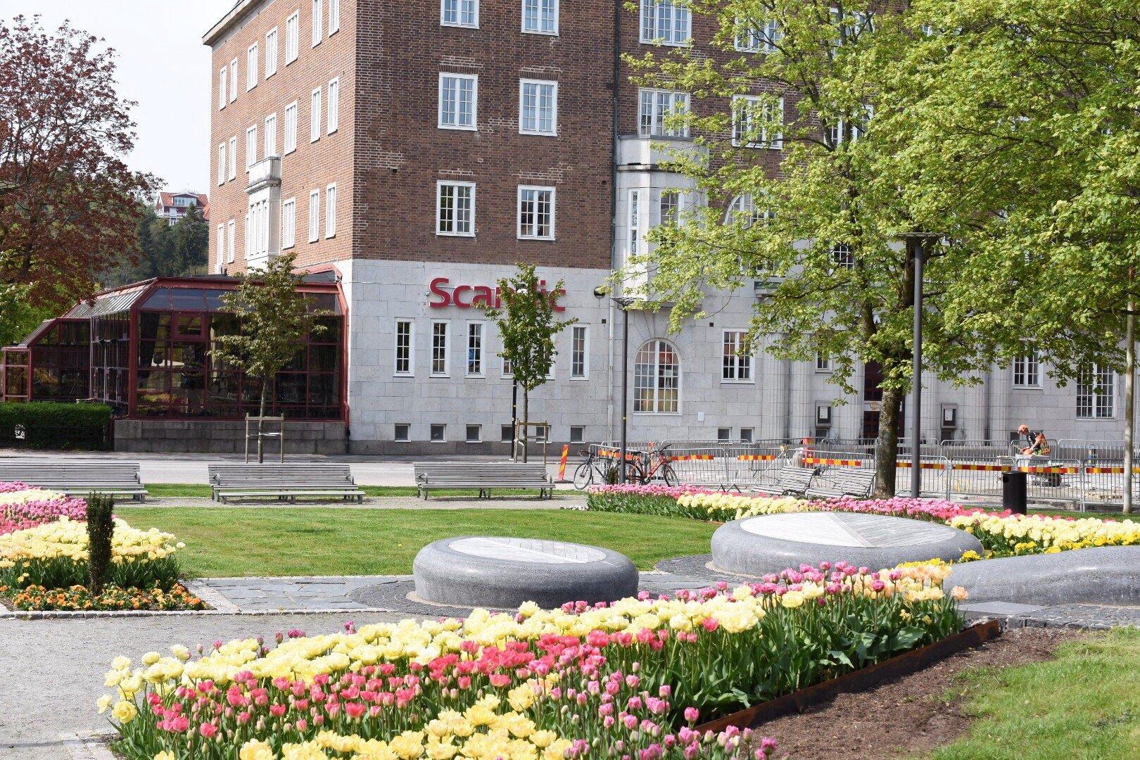 Photo by P1870UJtoms