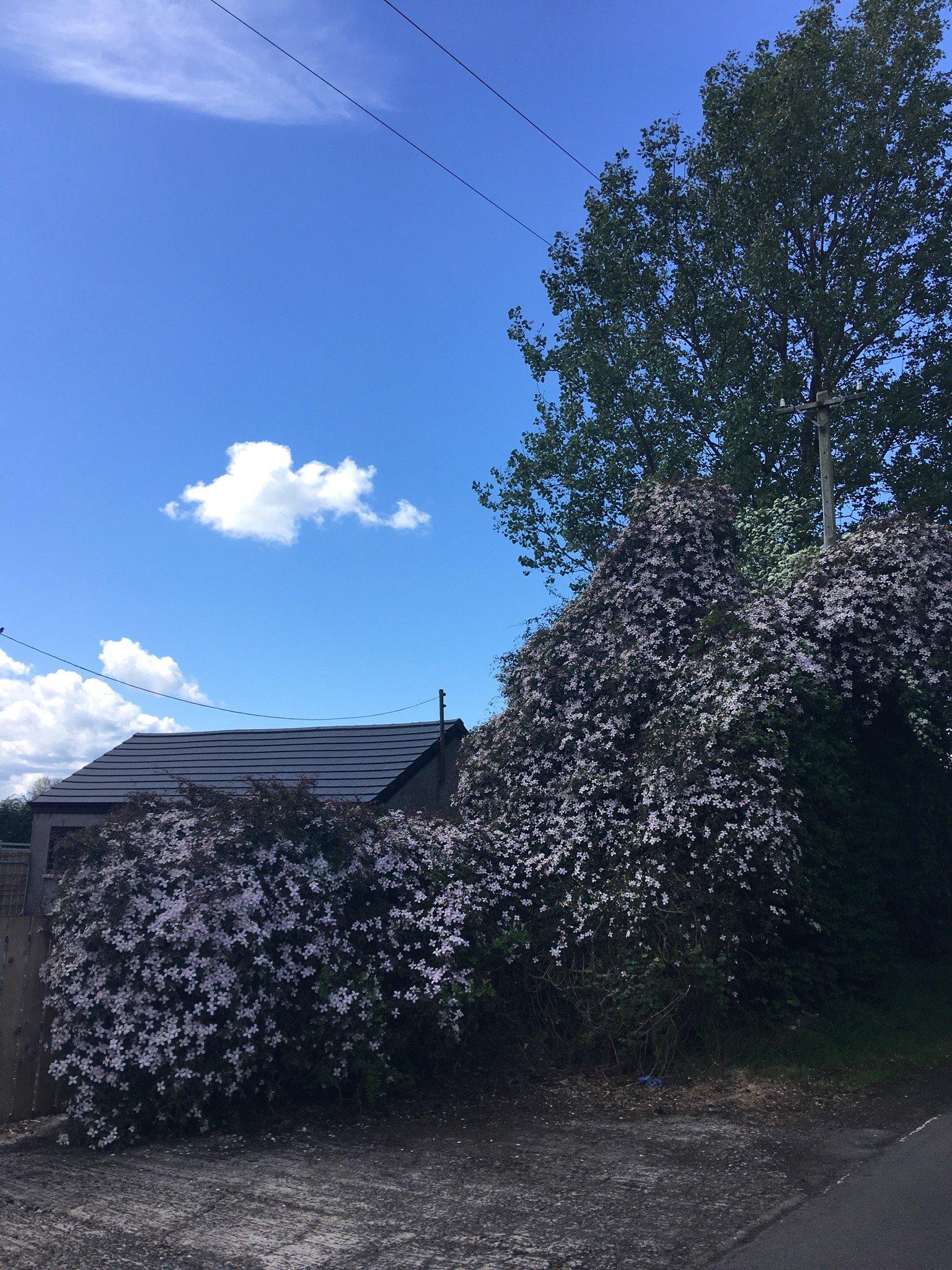 Nutts Corner Circuit