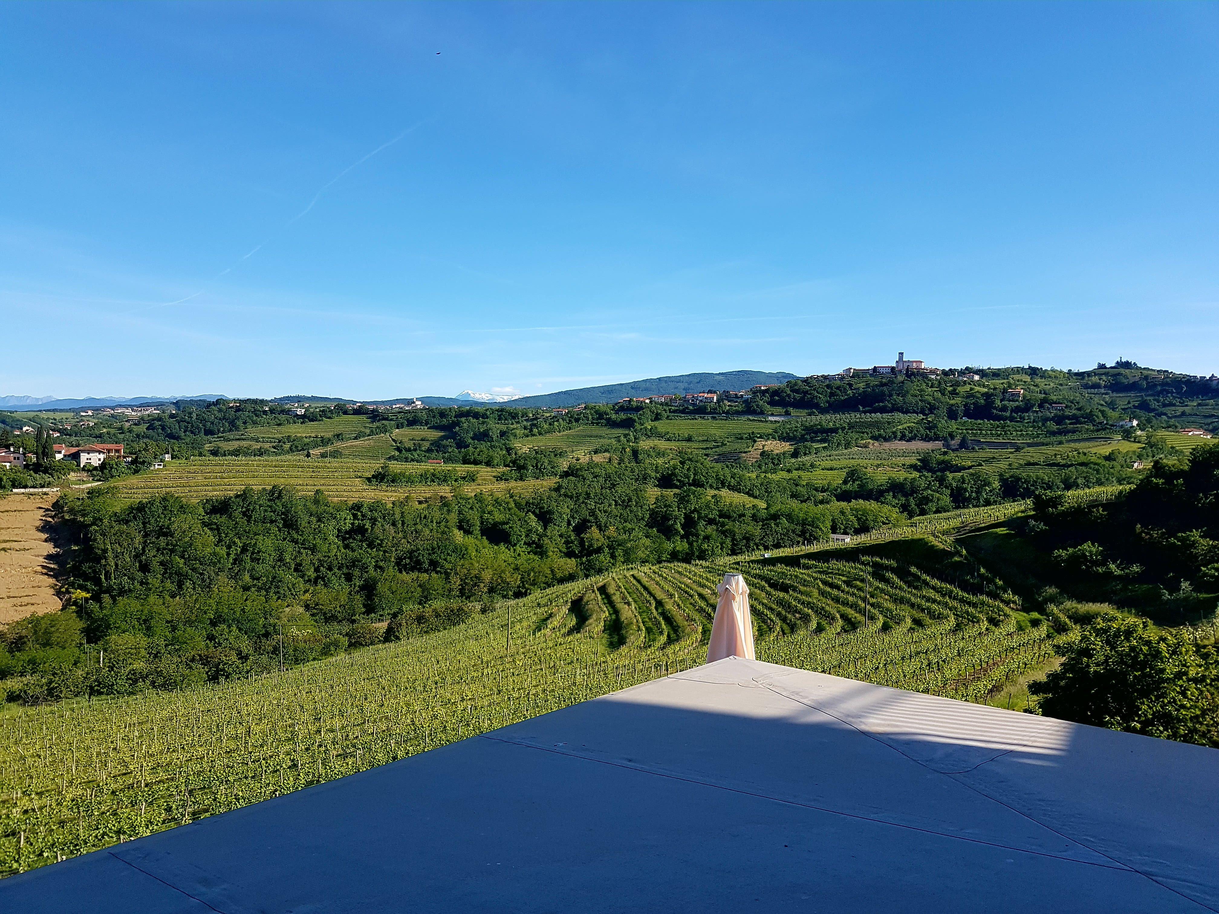 Photo by DietmarH145