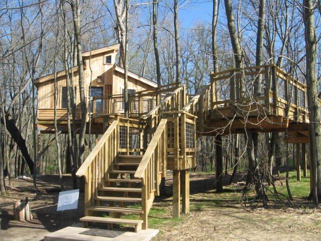 Photo by flintjarvis