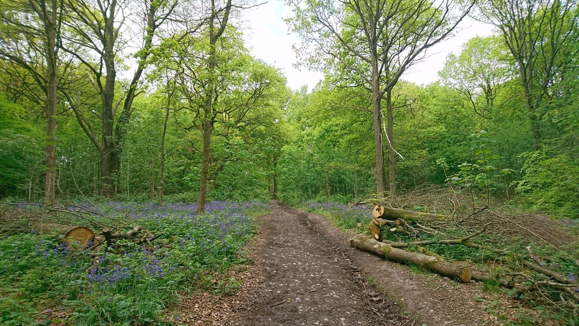 Lickey Hills Country Park