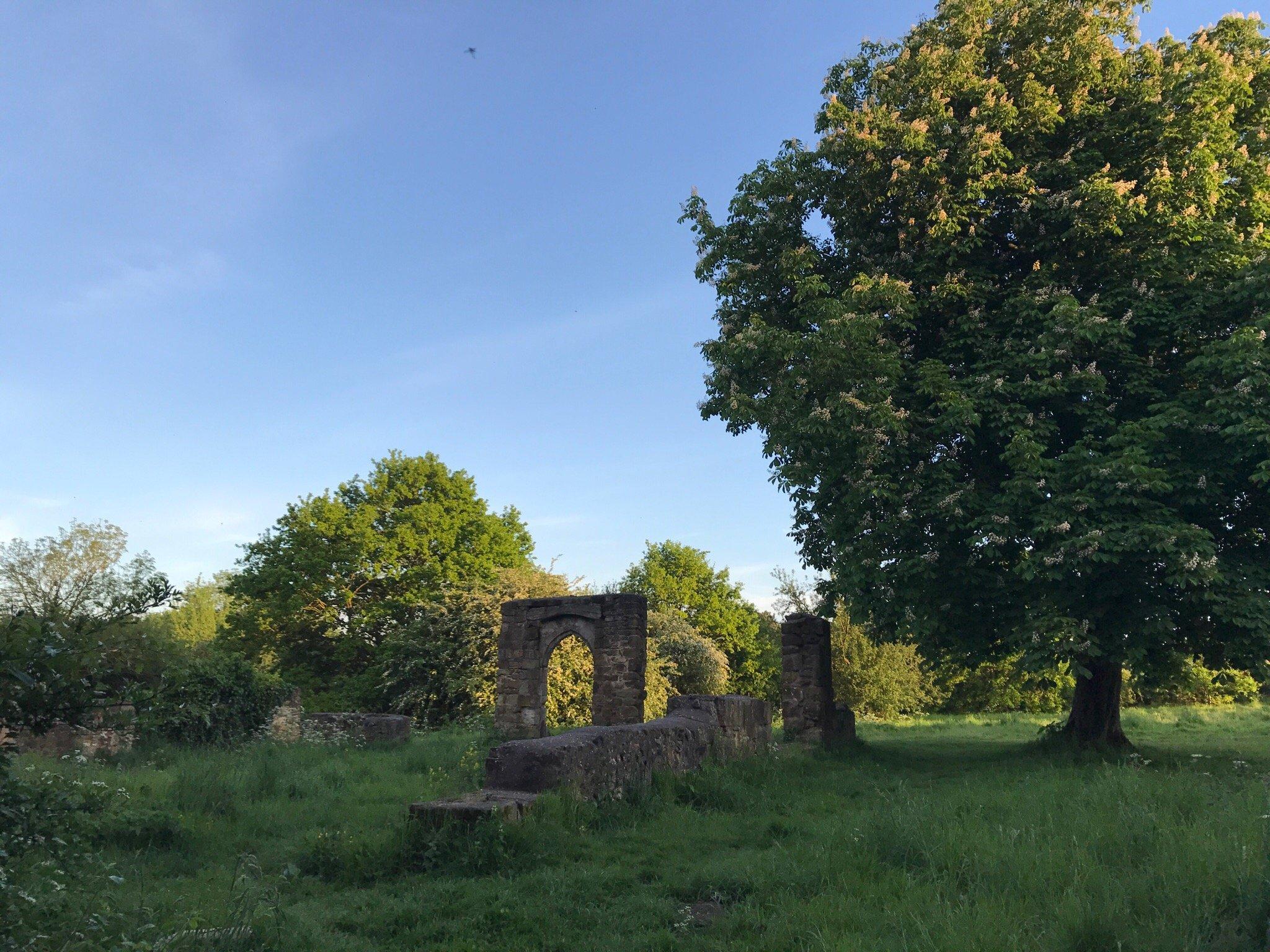 Photo by poppitshelby