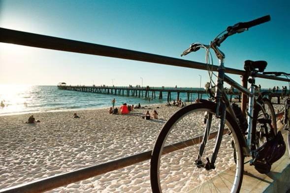 Naples Cyclery