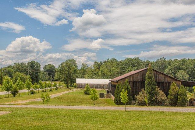 Hanover Park Vineyard