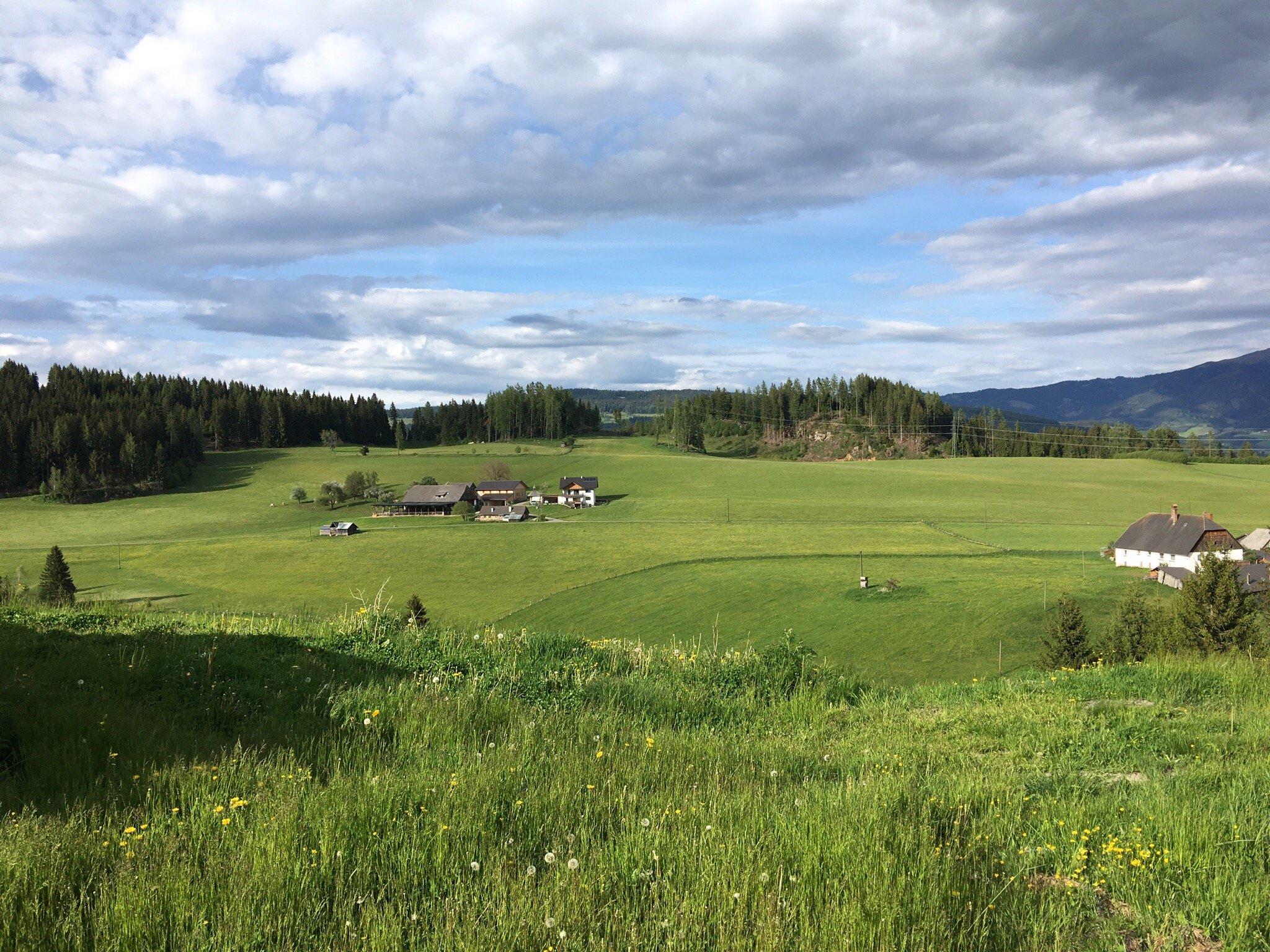 Zechnerhof Fam. Forcher