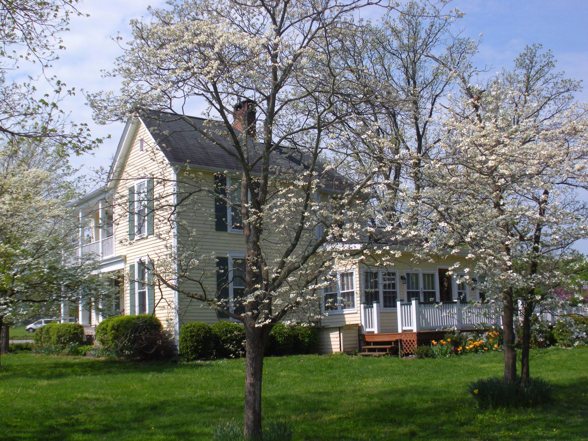 Homeplace Bed and Breakfast