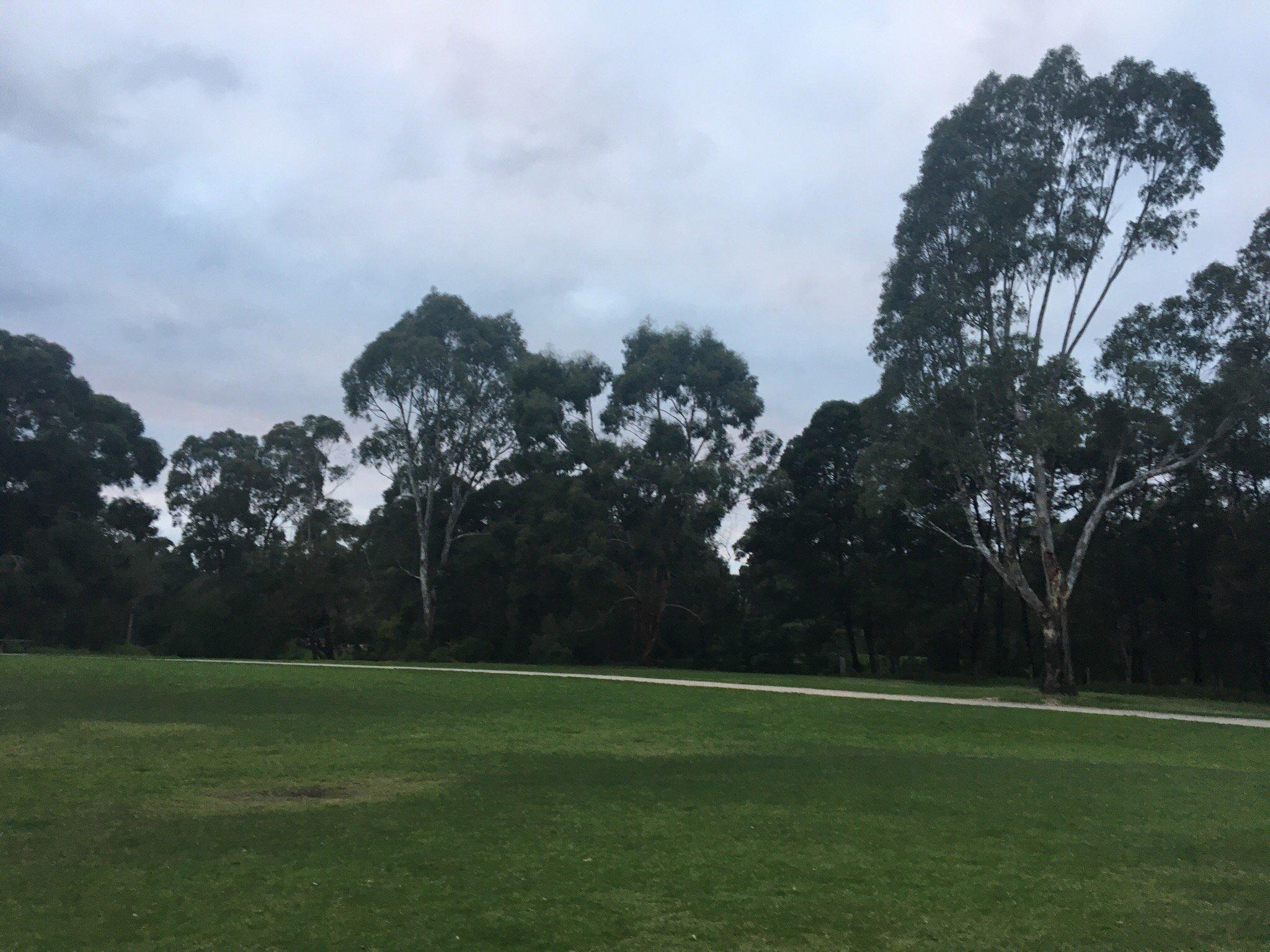 Gardiner Creek Reserve