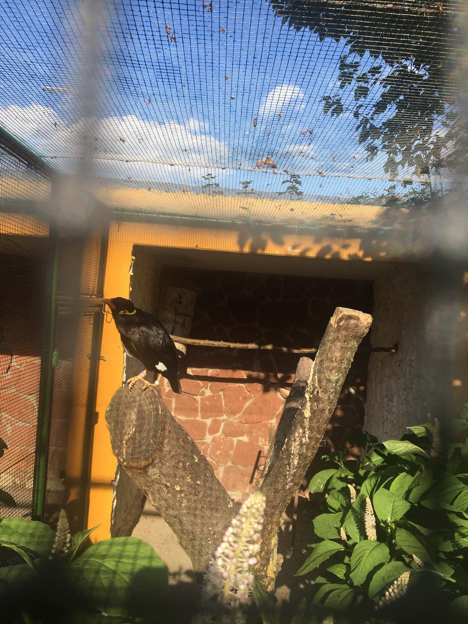 Photo by 324izabelab