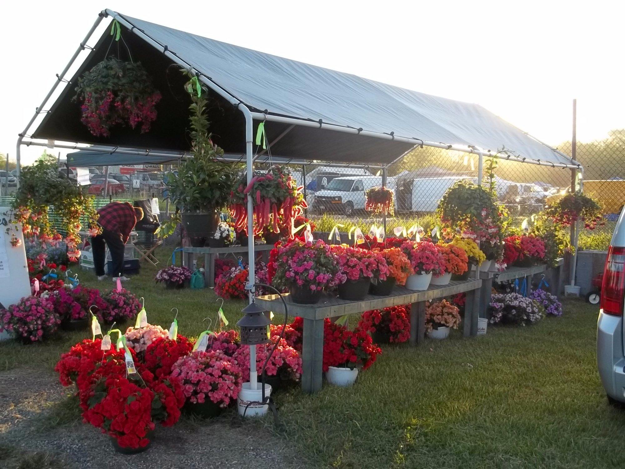 Cedarburg Maxwell Street Days