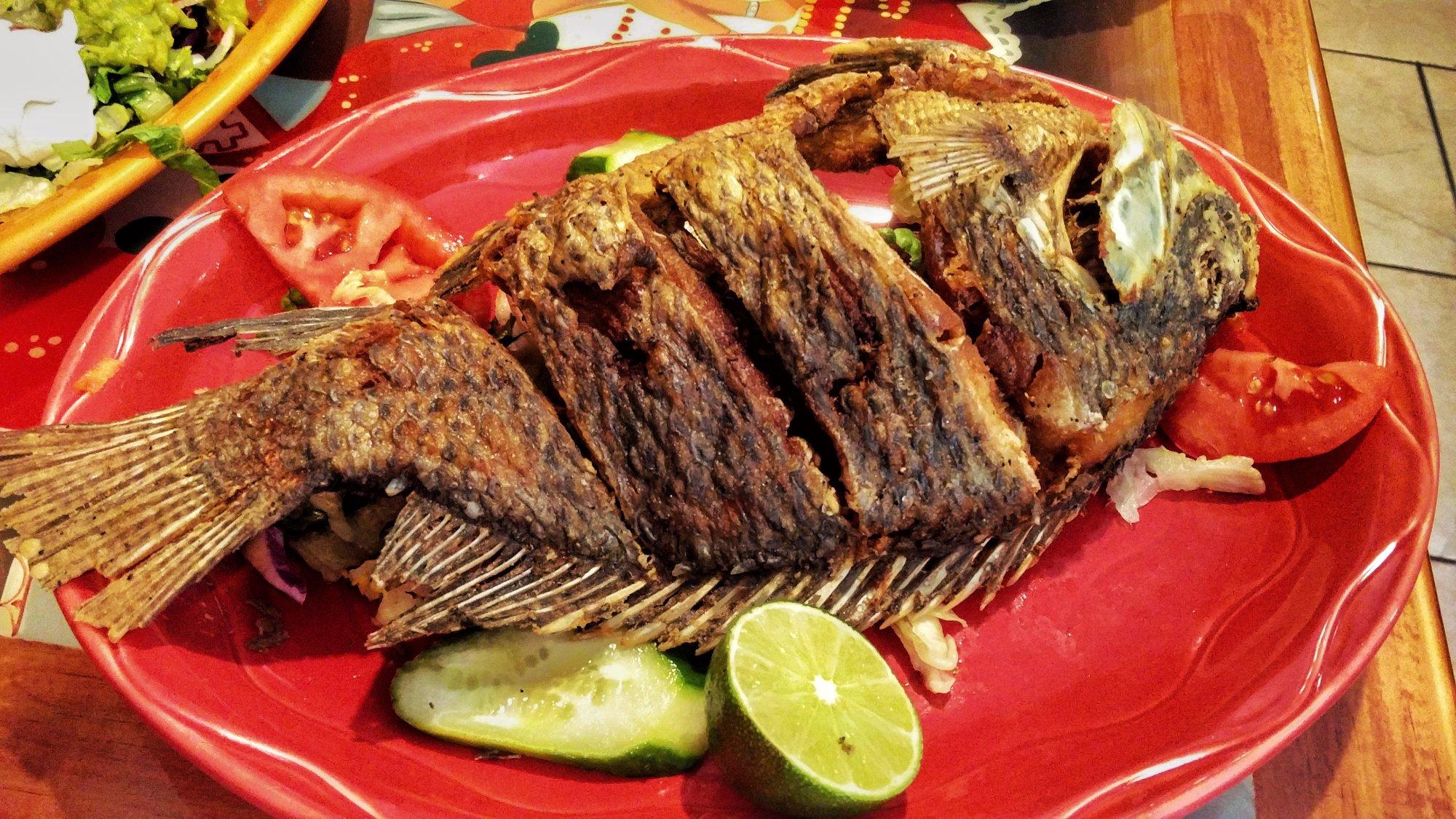 Zarape Mexican Restaurant