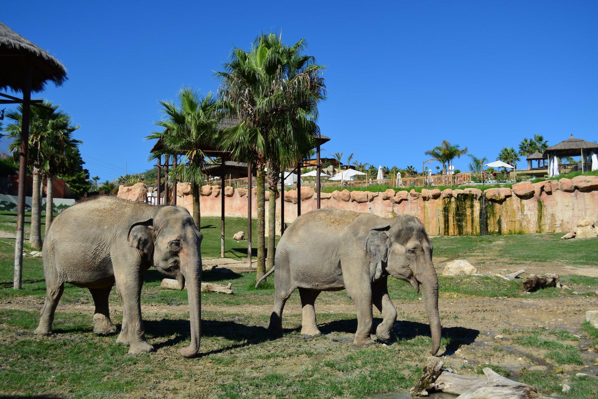 Terra Natura Benidorm