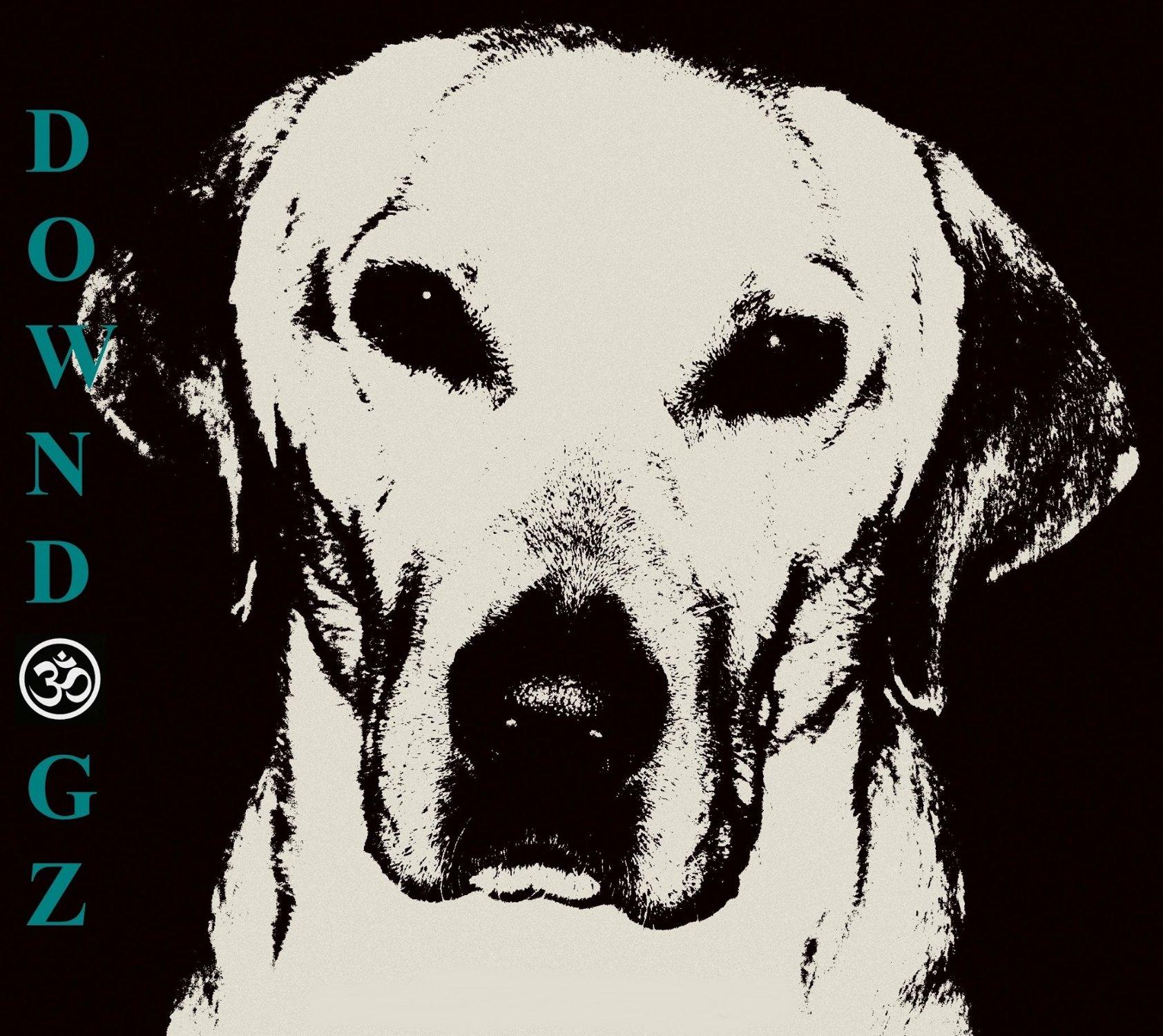 Downdogz School of Yoga