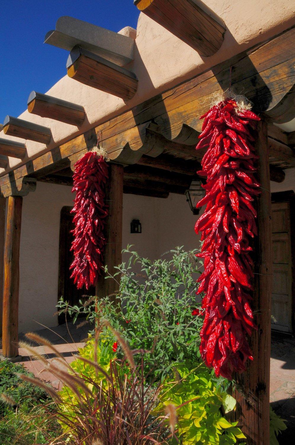 Photo by visit-often-to-NM