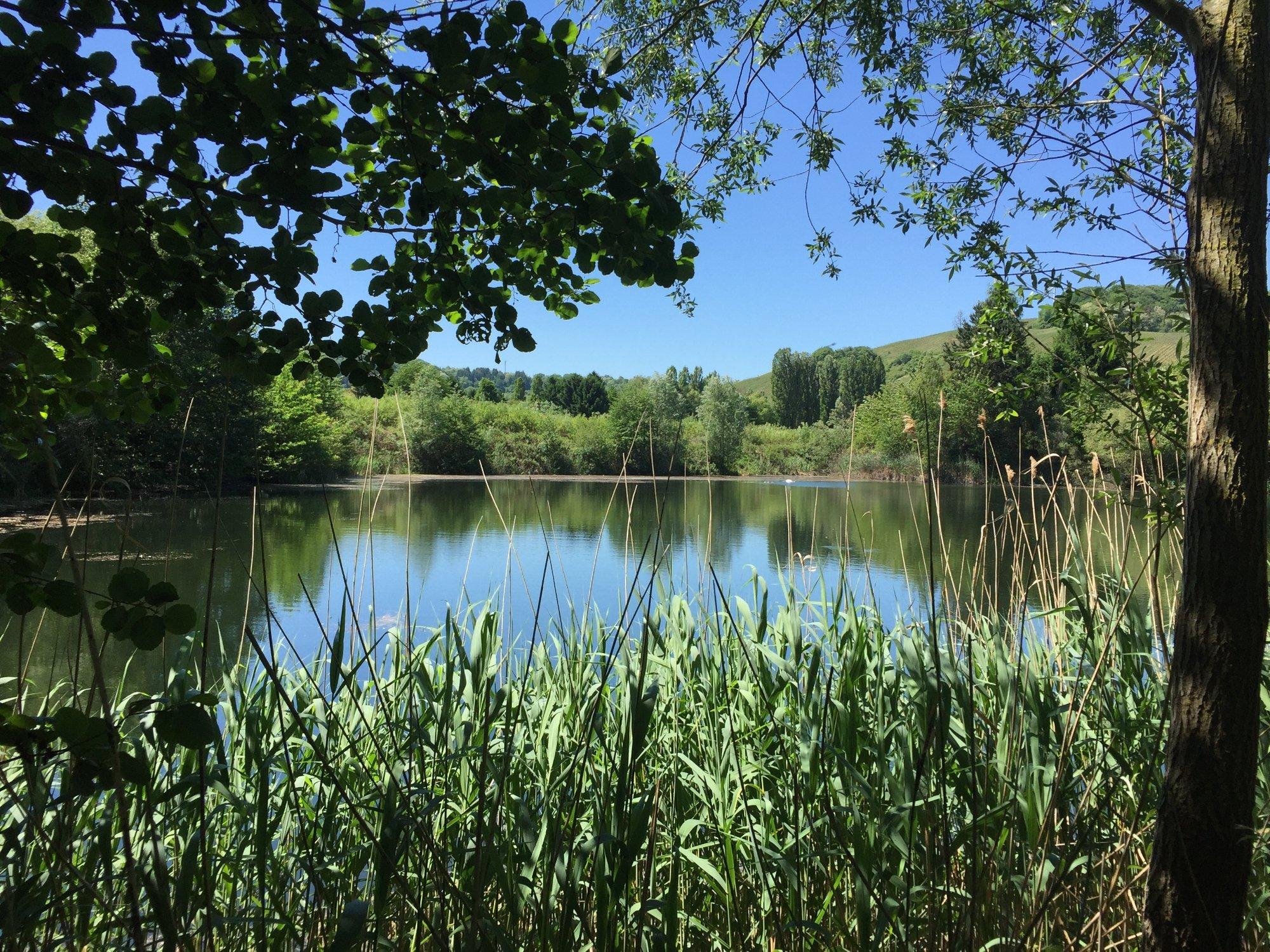 Biodiversum Réserve naturelle Haff Réimech