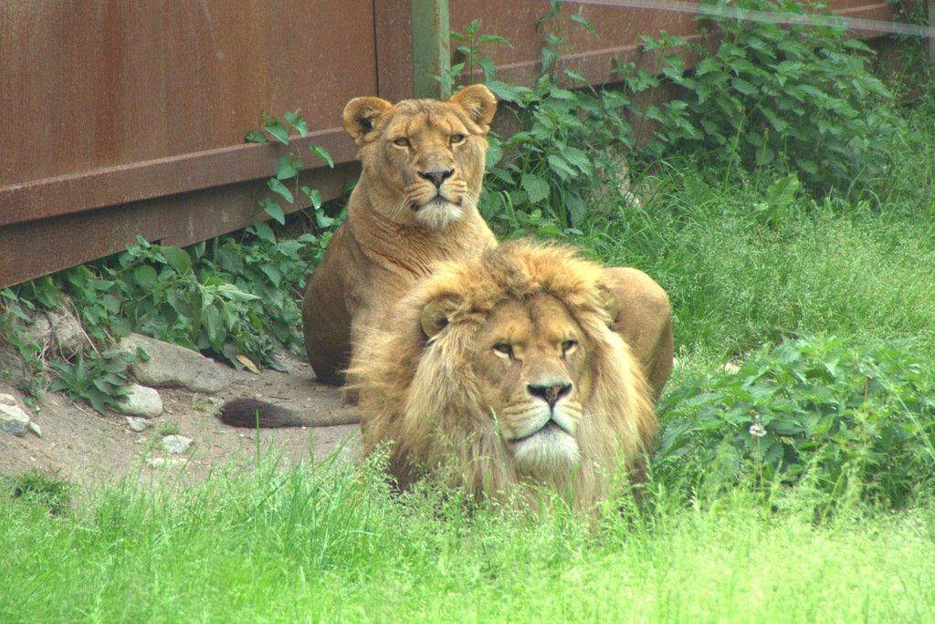 Parc Animalier De Casteil
