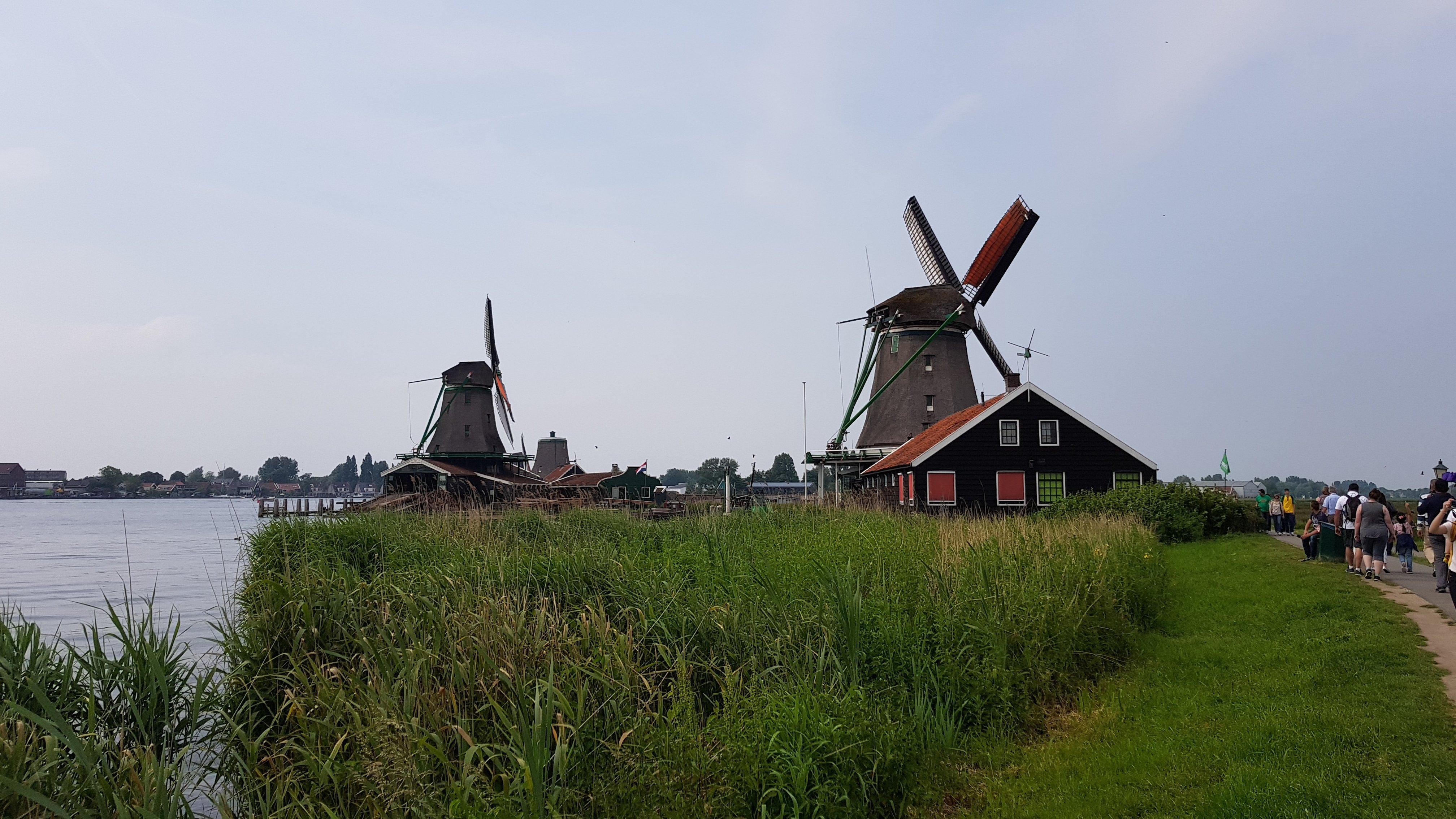 De Zoeker Molen