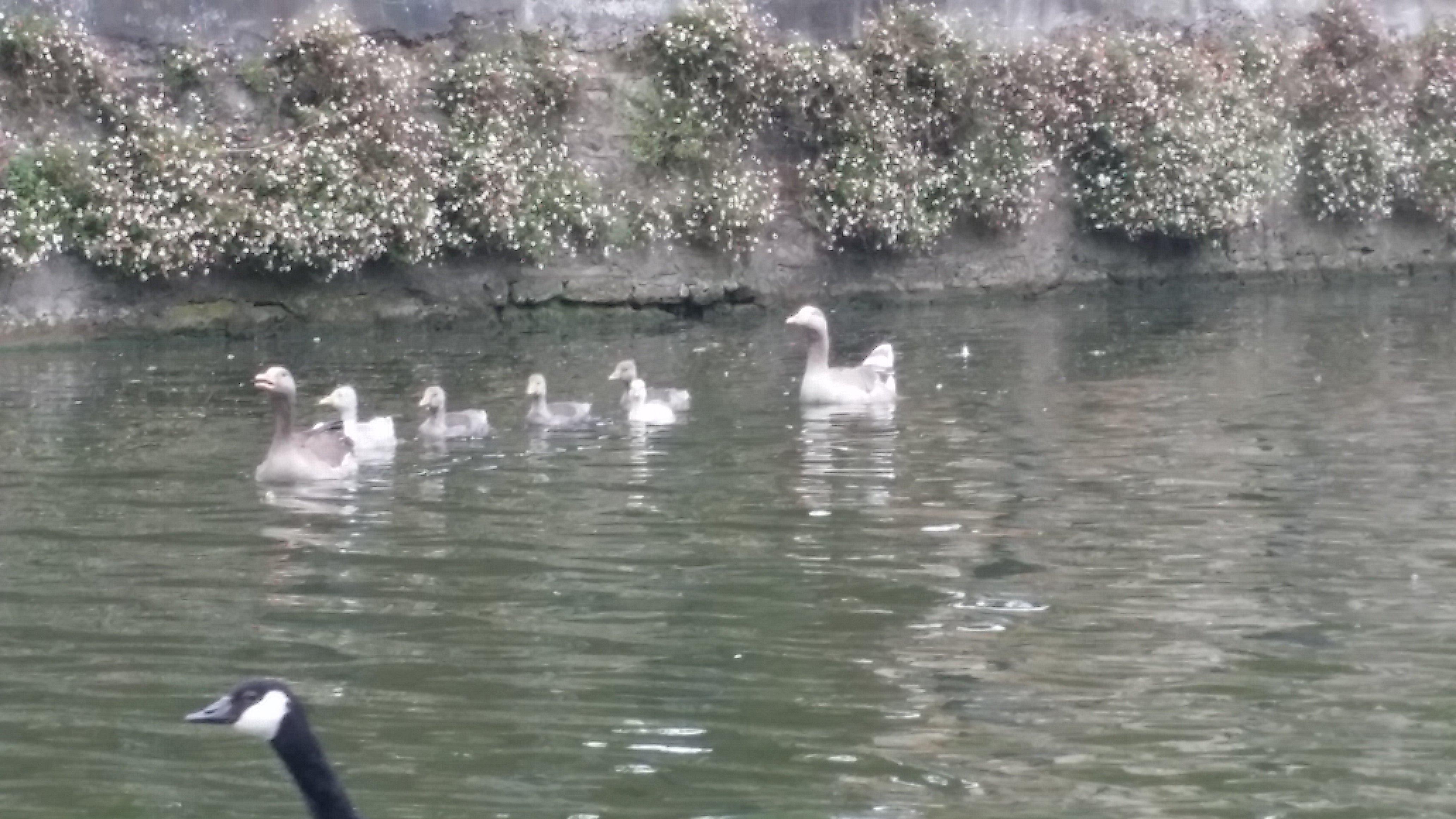 Abingdon Bridge Marine