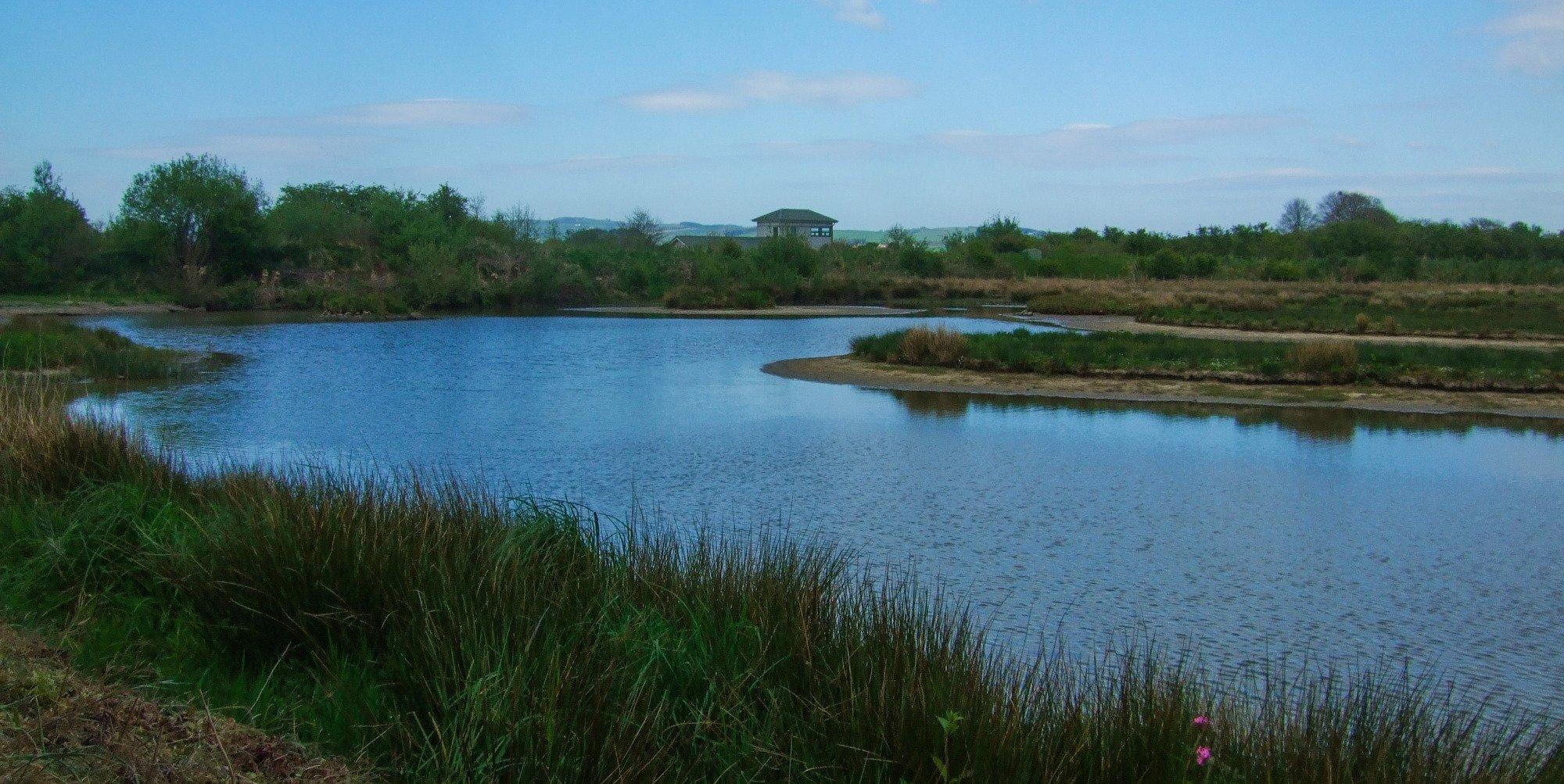 WWT Caerlaverock Wetland Centre
