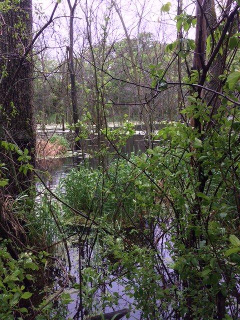 Eagle Lake state park