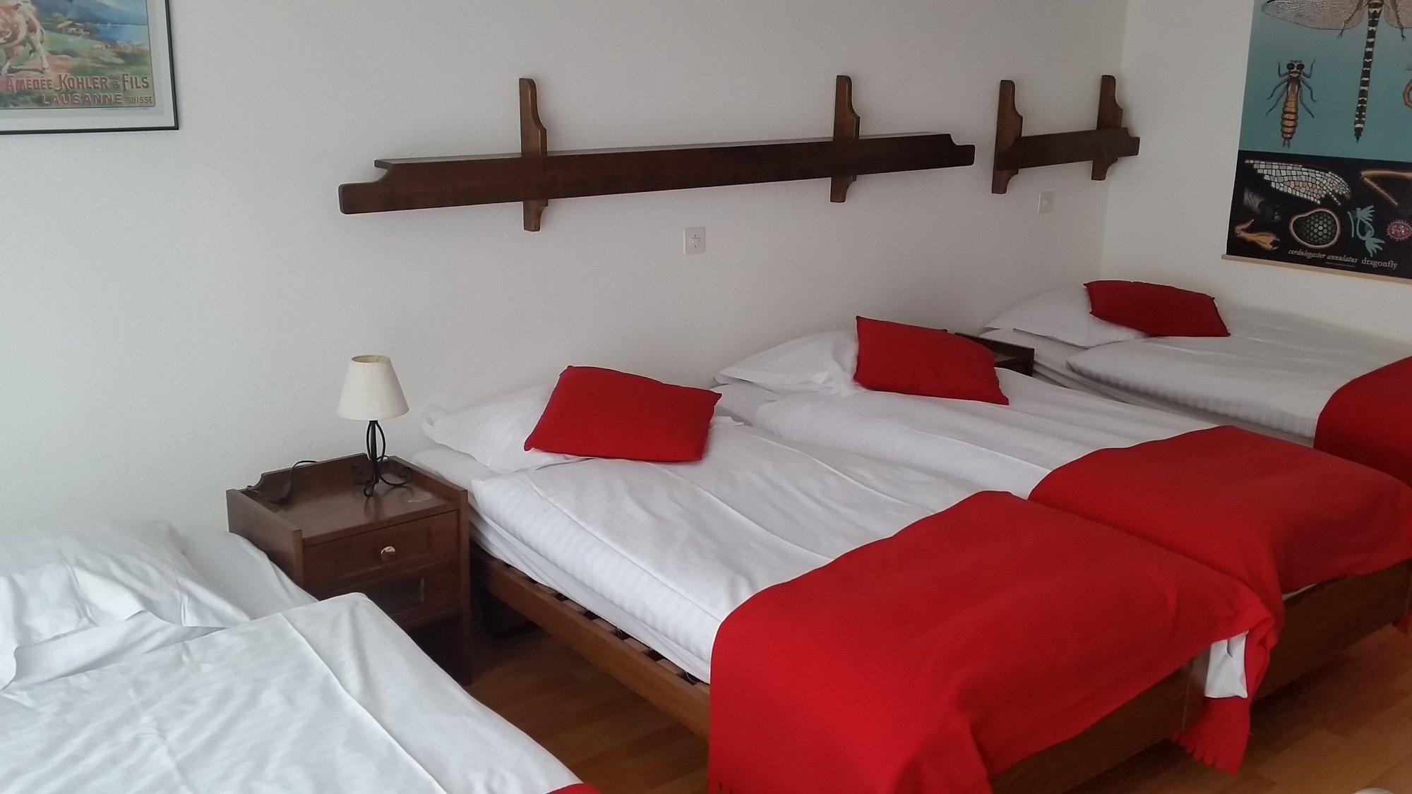 Photo by Frédéric B