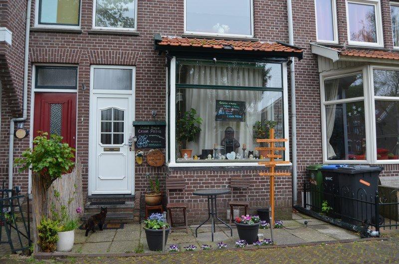 Guesthouse Czaar Peter