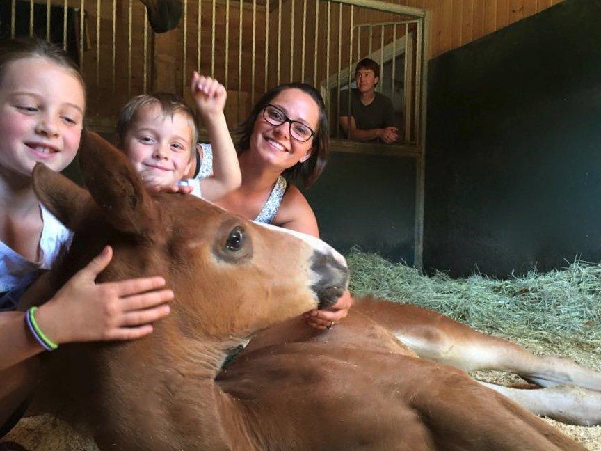 Dreamcatcher Meadows