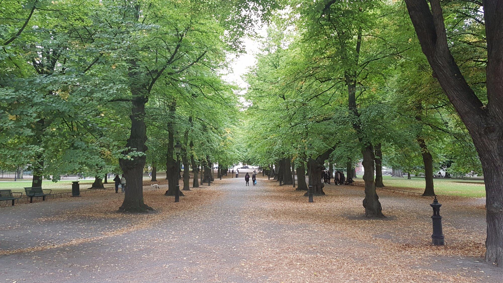 Humlegården