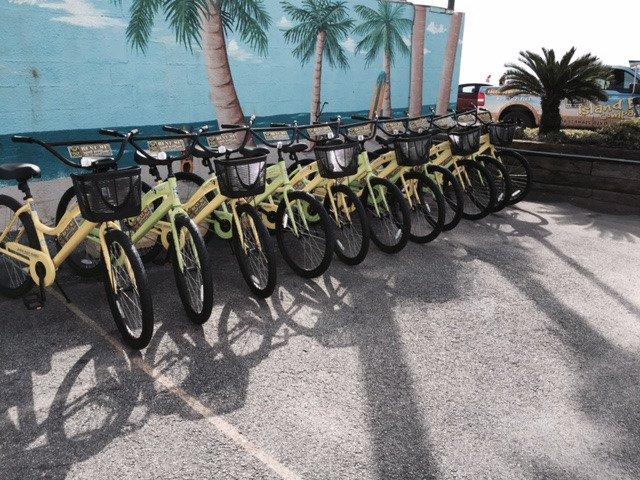 Island Bicycle Company