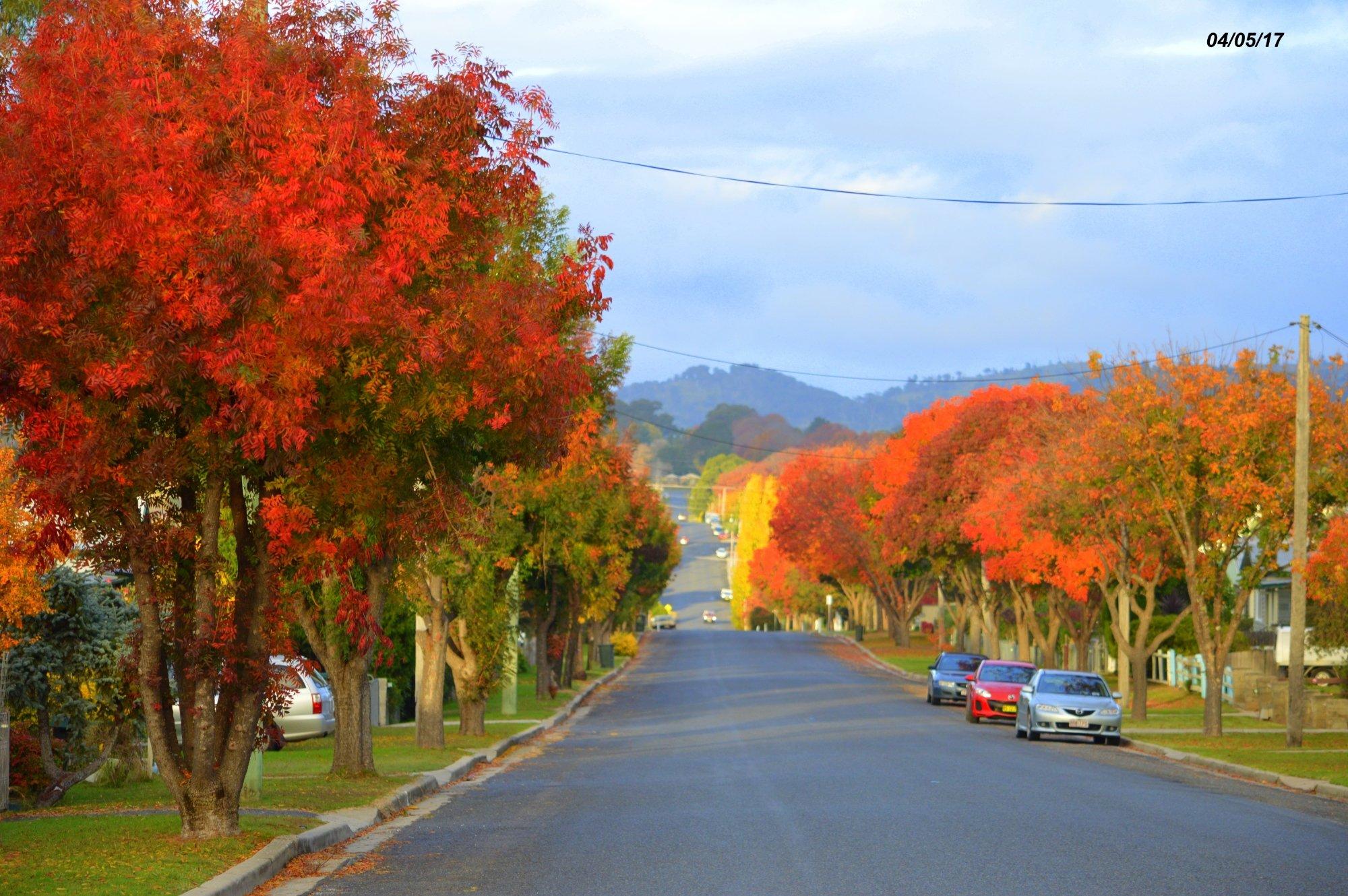 Mount Mackenzie Nature Reserve